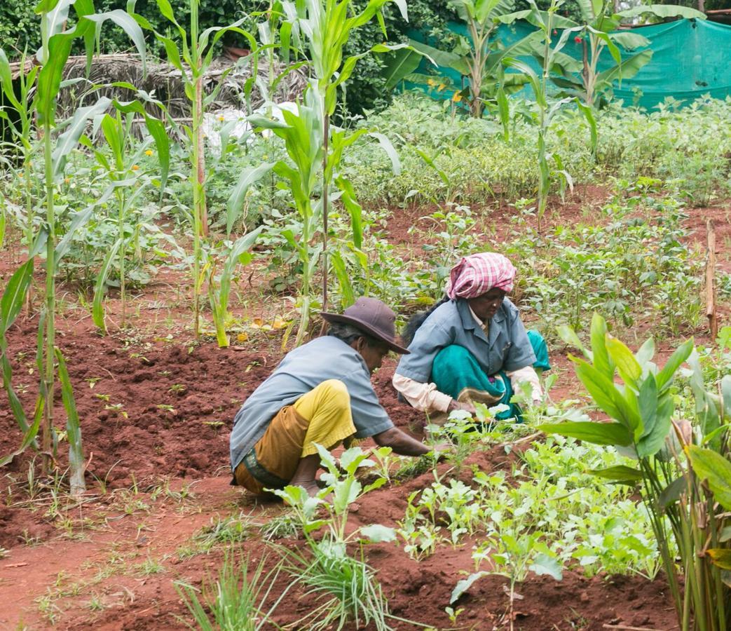Our Native Village Gadigarpalya Luaran gambar