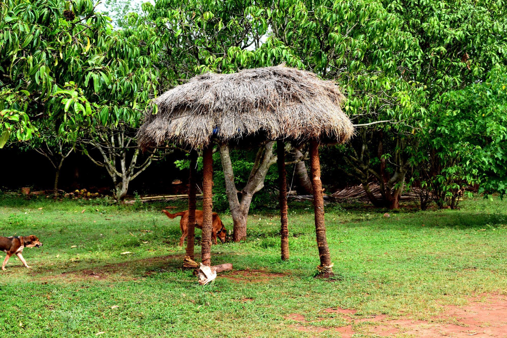Our Native Village Gadigarpalya Luaran gambar